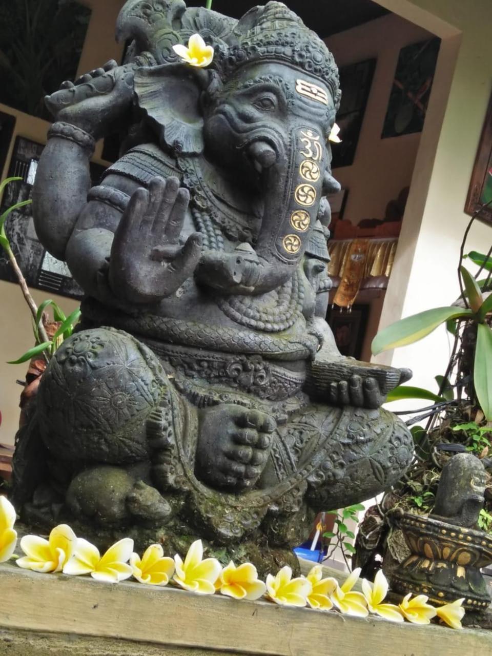 Bed and Breakfast Lionk Bali House Ubud Exteriér fotografie