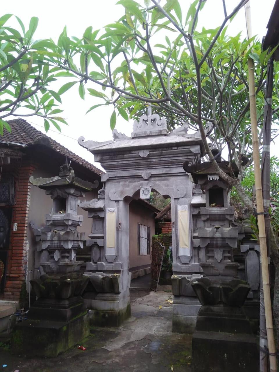 Bed and Breakfast Lionk Bali House Ubud Exteriér fotografie